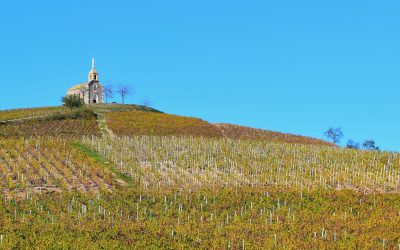 DOMAINE METRAT