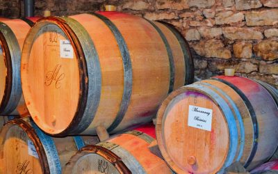 DOMAINE COLLOTTE