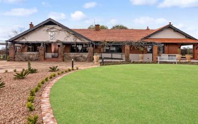 ELDERTON WINES