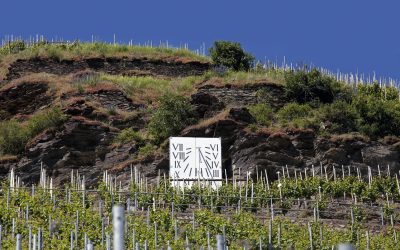 FRITZ HAAG WINES