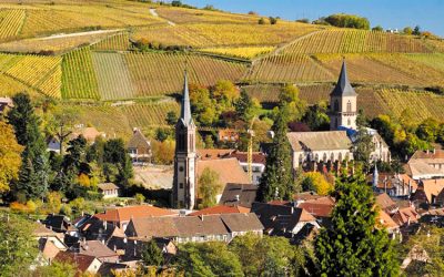 KIENTZLER WINES