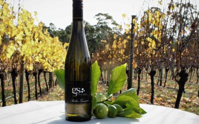 GLEN SHIAN VINEYARD