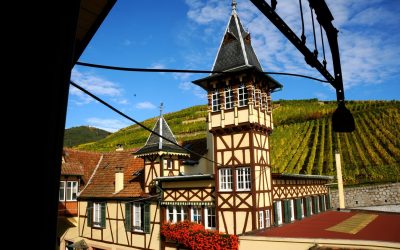 TRIMBACH WINES
